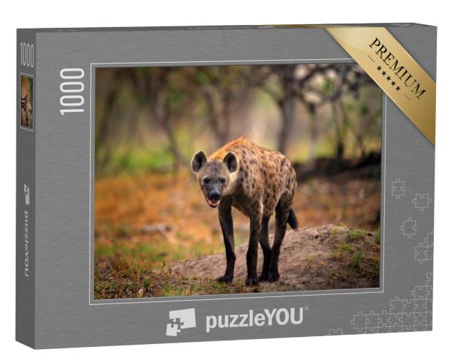 Puzzel 1000 stukjes „Gevlekte hyena op zoek naar prooi, Okavango, Botswana“