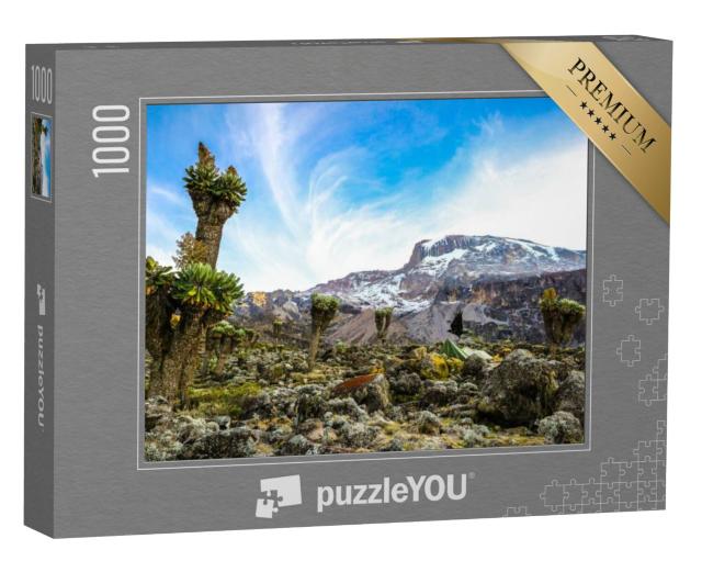 Puzzel 1000 stukjes „Kamperen op de Kilimanjaro in tenten om de gletsjers te zien, Afrika“