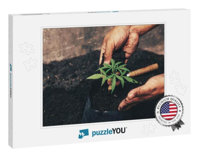 Hand Gently Holding Rich Soil for His Marijuana Pl... Jigsaw Puzzle