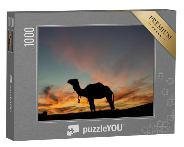 Puzzel 1000 stukjes „Dromedaris silhouet op een mooie woestijnavond“