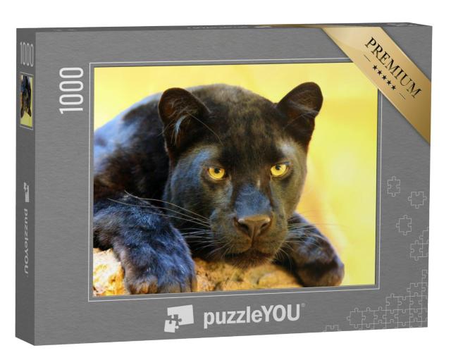 Puzzel 1000 stukjes „De luipaard, ook bekend als de zwarte panter“