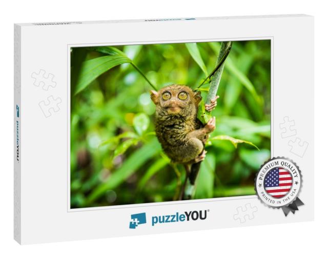 The Philippine Tarsier Carlito Syrichta is a Species of T... Jigsaw Puzzle