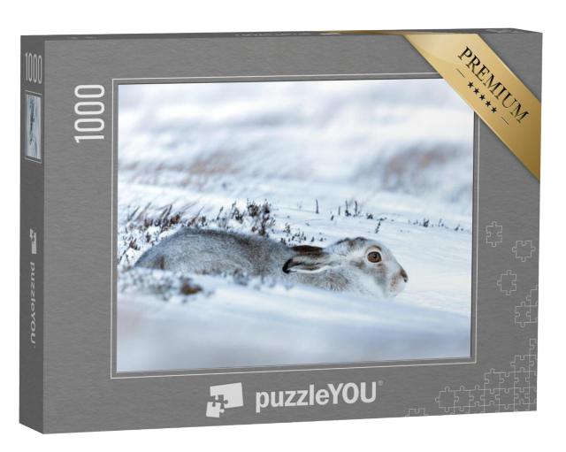 Puzzel 1000 stukjes „Een berghaas in de sneeuw“