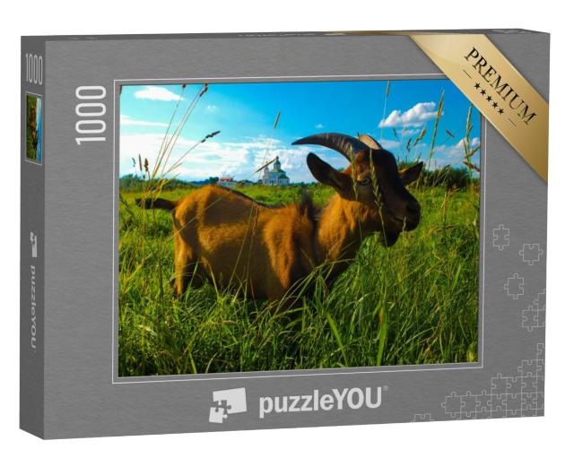 Puzzel 1000 stukjes „Gedomesticeerde geit eet weelderig gras in een veld in een dorp“