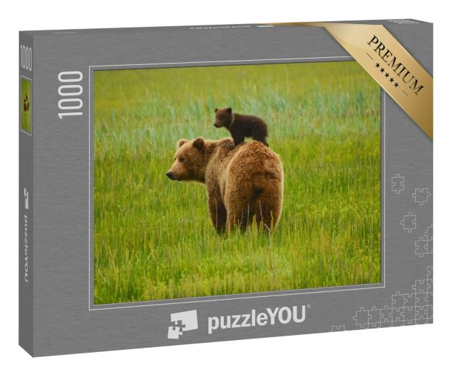 Puzzle 1000 Teile „Küsten-Braunbären: Mutter und Jungtier“