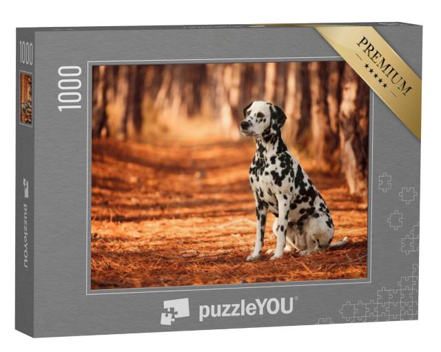 Puzzel 1000 stukjes „Dalmatische hondenras tijdens een wandeling“