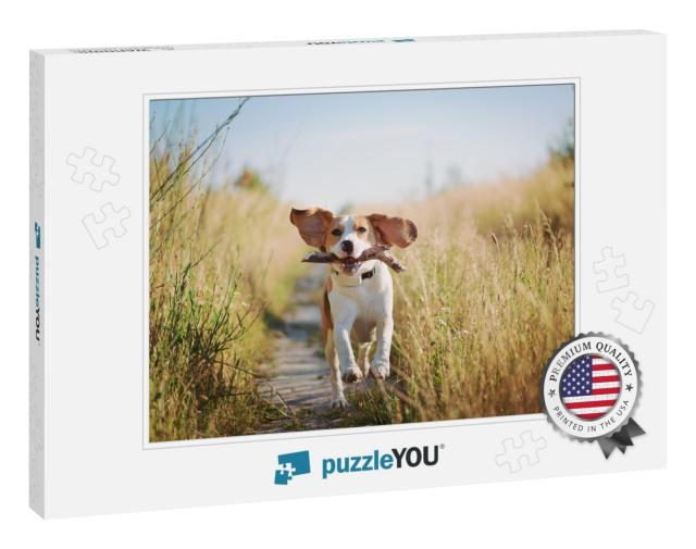Happy Beagle Dog with Flying Ears Running Outdoors with S... Jigsaw Puzzle