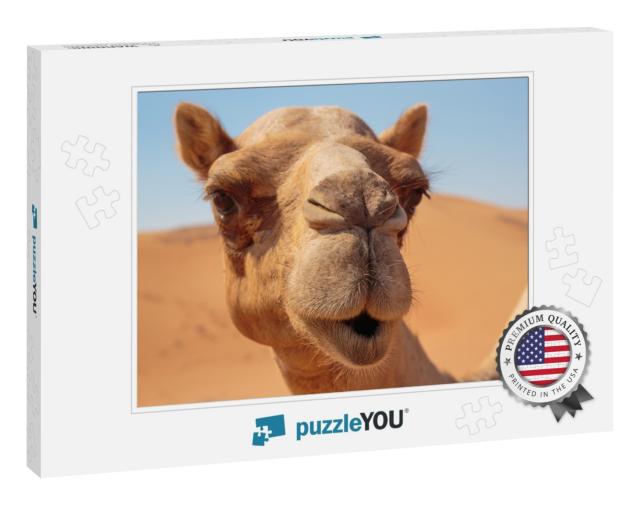 Camels in the Desert... Jigsaw Puzzle