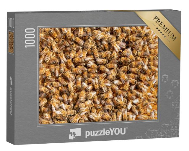 Puzzel 1000 stukjes „Honingbijen op een frame van een bijenkorf“