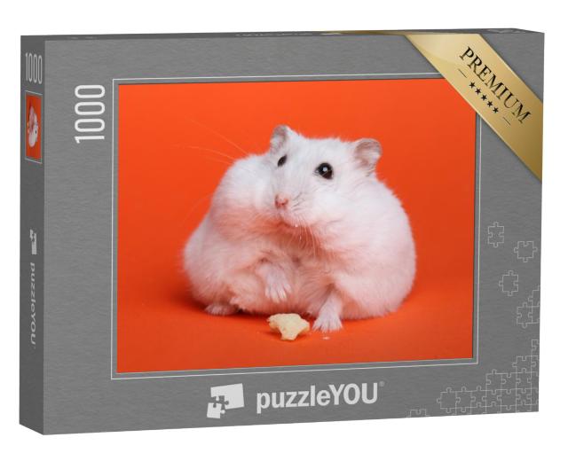 Puzzel 1000 stukjes „Pluizige witte hamster“