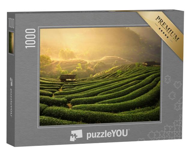 Puzzel 1000 stukjes „Theeplantages in het ochtendlicht“