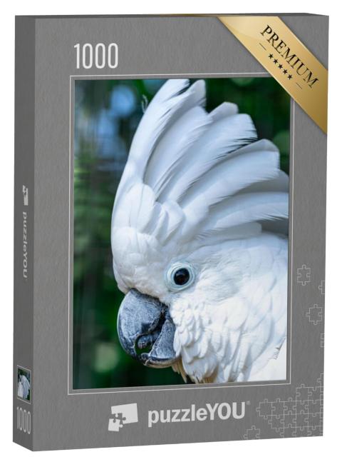 Puzzel 1000 stukjes „De witte kaketoe, Cacatua alba“