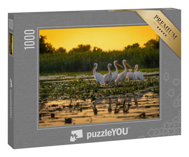 Puzzle 100 Teile „Pelikane bei Sonnenuntergang, Donau, Rumänien“