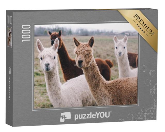 Puzzel 1000 stukjes „Kudde alpaca's“