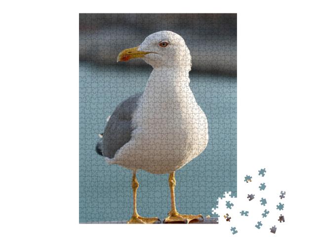 Puzzle 1000 Teile „Grau-weiß gefiederte Seemöwe“