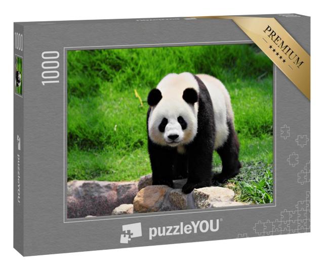Puzzle 100 Teile „Panda“