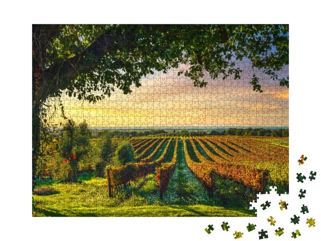 Puzzle 1000 Teile „Bolgheri Weinberg, Olivenbäume und Blumen bei Sonnenuntergang, Toskana, Italien“
