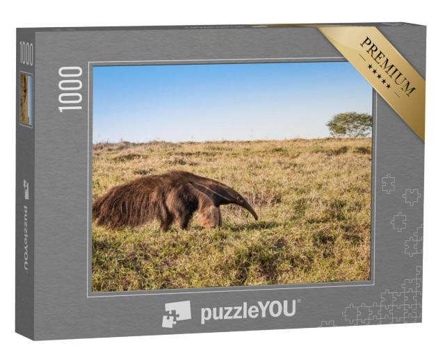 Puzzel 1000 stukjes „Een wilde reuzenmiereneter in de wei“