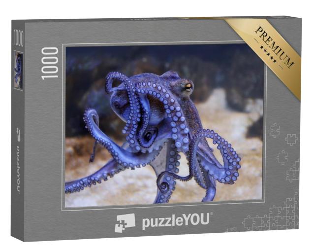 Puzzel 1000 stukjes „Blauwe octopus in een aquarium“