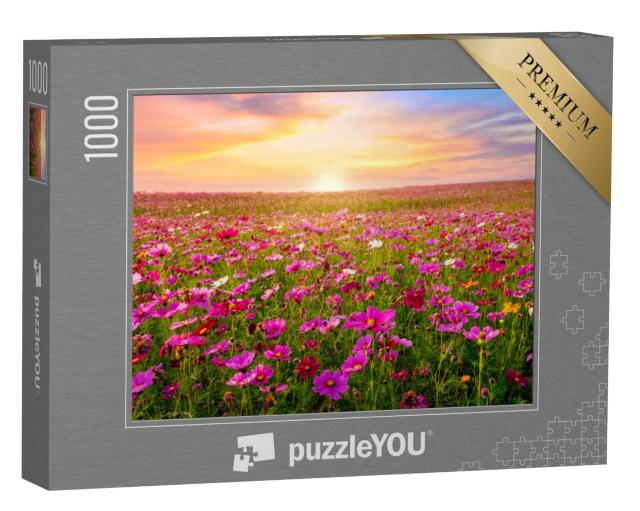 Puzzel 1000 stukjes „Veld van cosmea's in de zonsondergang“