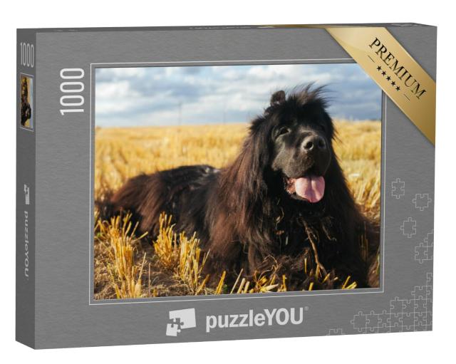 Puzzel 1000 stukjes „Reus Newfoundland“