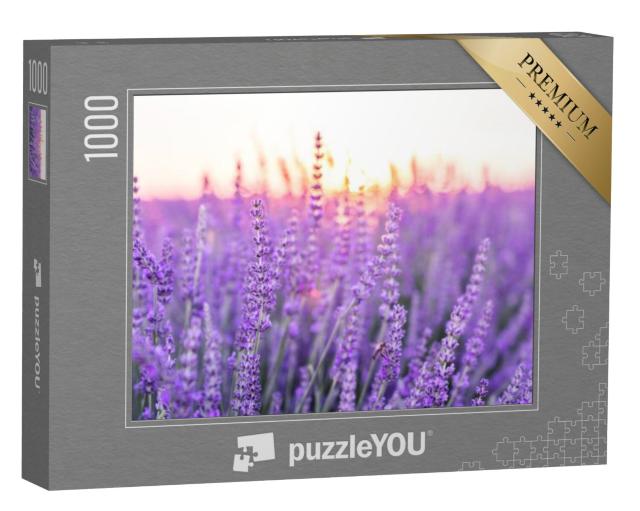 Puzzel 1000 stukjes „Zonsondergang over een lavendelveld, Provence, Frankrijk“