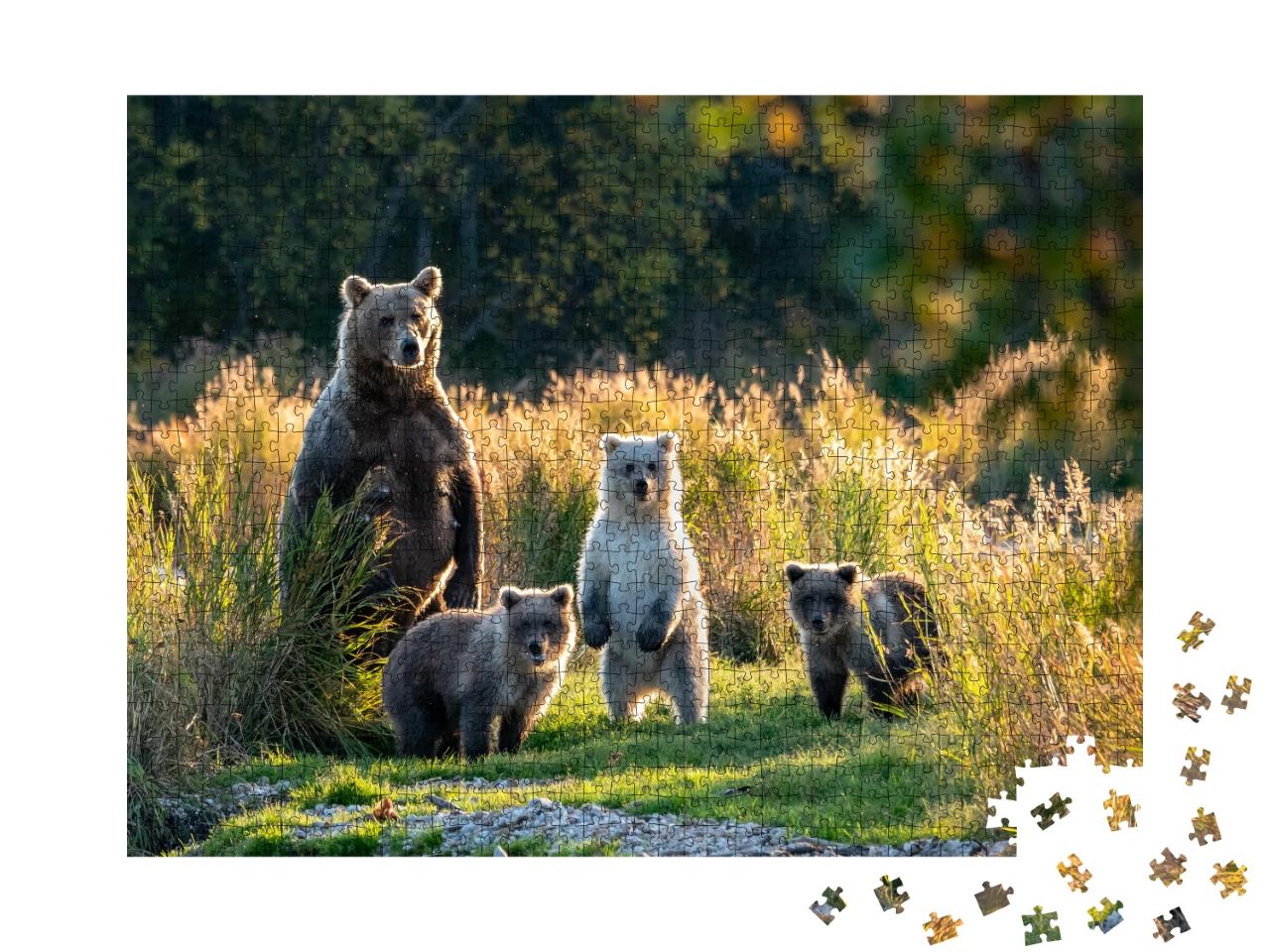 Puzzle 1000 Teile „Vielbeschäftigte Mutter: Alaska-Braunbärin mit drei niedlichen Jungtieren“