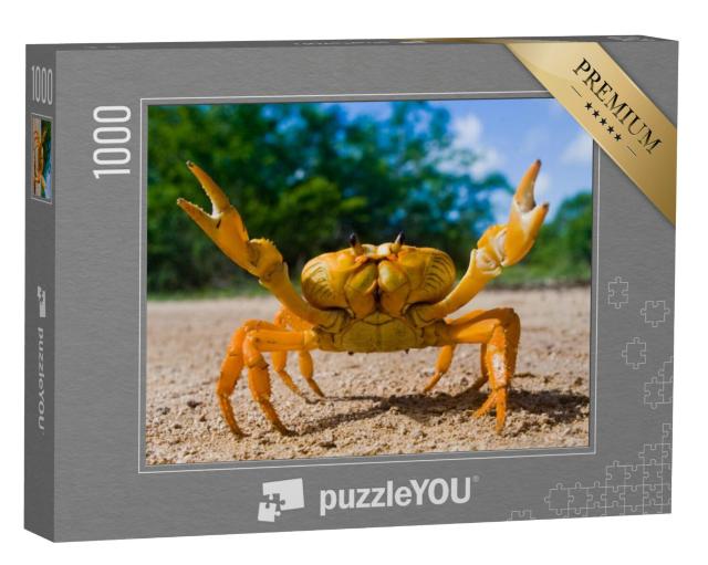 Puzzel 1000 stukjes „Gele landkrab in Cuba“