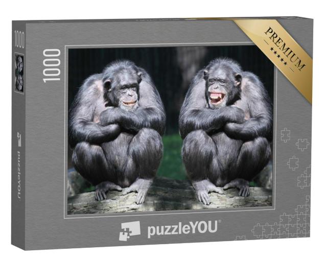 Puzzel 1000 stukjes „Twee chimpansees in close-up“