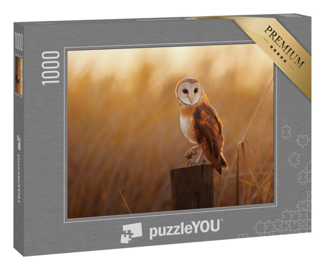 Puzzle 1000 Teile „Schöne Schleiereule auf einem Baumstumpf“