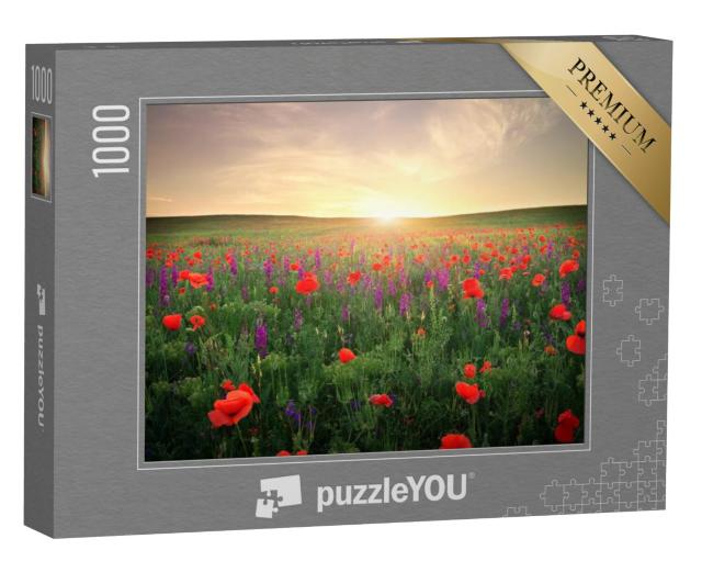 Puzzel 1000 stukjes „Veld met gras, paarse bloemen en rode klaprozen“