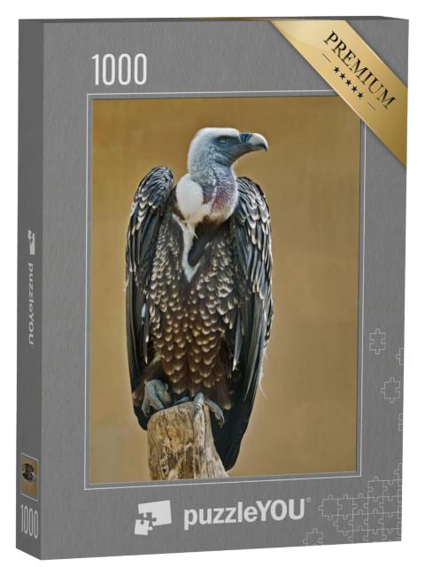 Puzzel 1000 stukjes „Exemplaar van de Rüppell's vale gier“