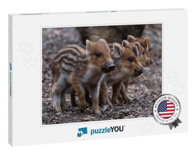 4 Cute Piglets Strung Together. Baby Pigs in Cute Posture... Jigsaw Puzzle