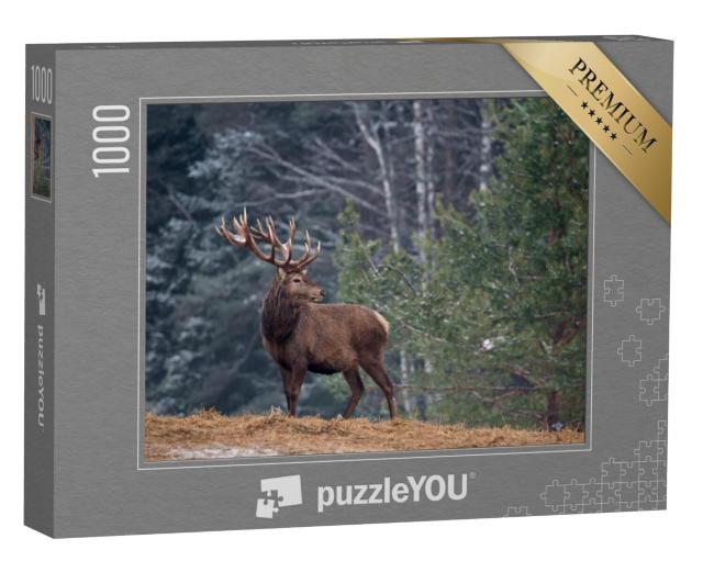 Puzzel 1000 stukjes „Trots hert met groot gewei, eenzaam in het bos“