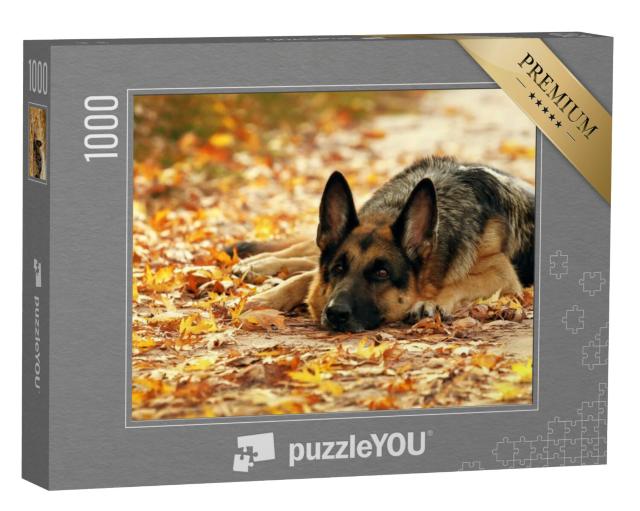 Puzzel 1000 stukjes „Duitse herdershond liggend in het herfstbos“