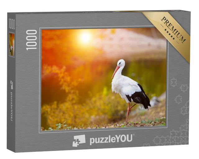 Puzzel 1000 stukjes „Ooievaar in het avondlicht“