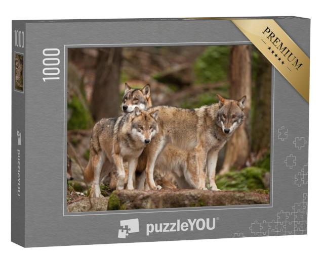 Puzzel 1000 stukjes „Wolffamilie in hun natuurlijke omgeving“