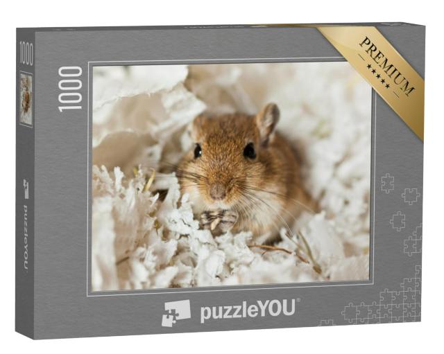 Puzzel 1000 stukjes „Schattige kleine mongoolse gerbil“