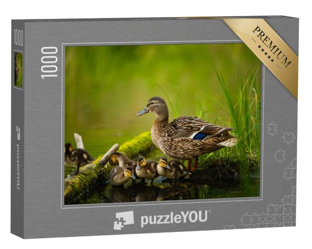 Puzzel 1000 stukjes „Vrouwelijke wilde eend met kleine eendjes“