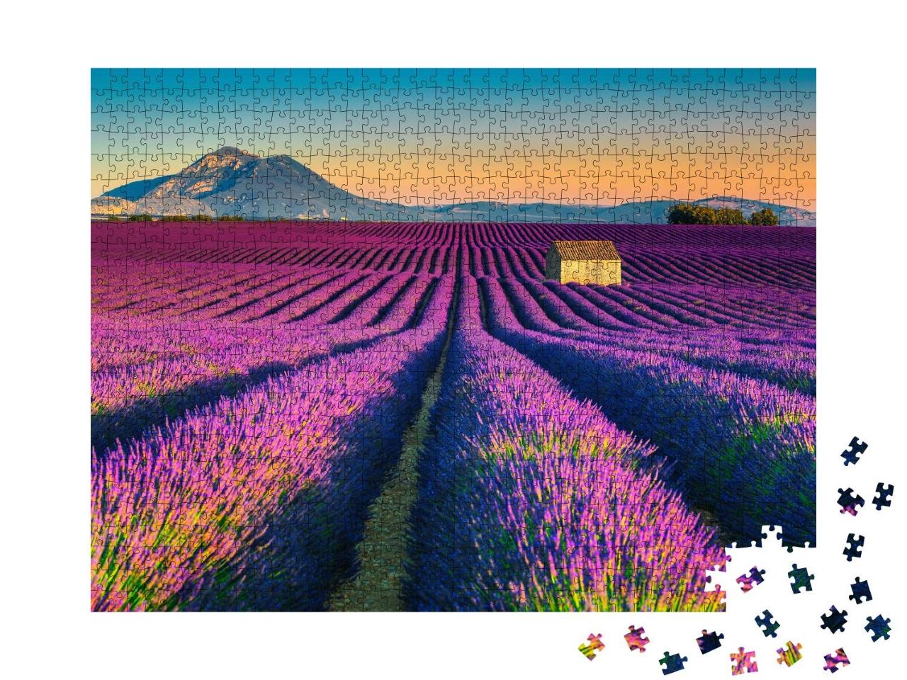 Puzzle 1000 Teile „Lavendelfelder nahe des touristischen Dorfes Valensole, Frankreich“