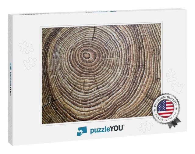 Painted Brown Wooden Annual Rings... Jigsaw Puzzle