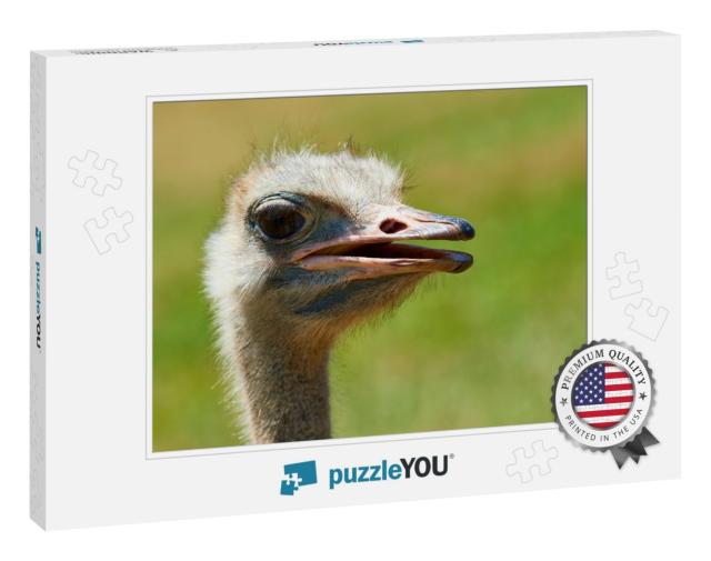 Ostrich Struthio Camelus in the Natural Park of Cabarceno... Jigsaw Puzzle
