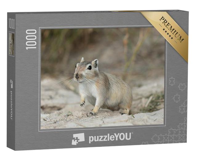 Puzzel 1000 stukjes „Grote gerbil in de Muyunkum Woestijn, Zuid-Kazachstan“