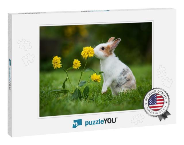 Little Rabbit Smelling a Flower in the Garden... Jigsaw Puzzle