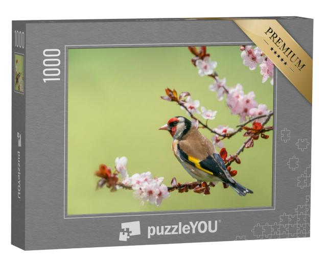 Puzzel 1000 stukjes „Kleurrijke distelvink op een bloeiende tak“