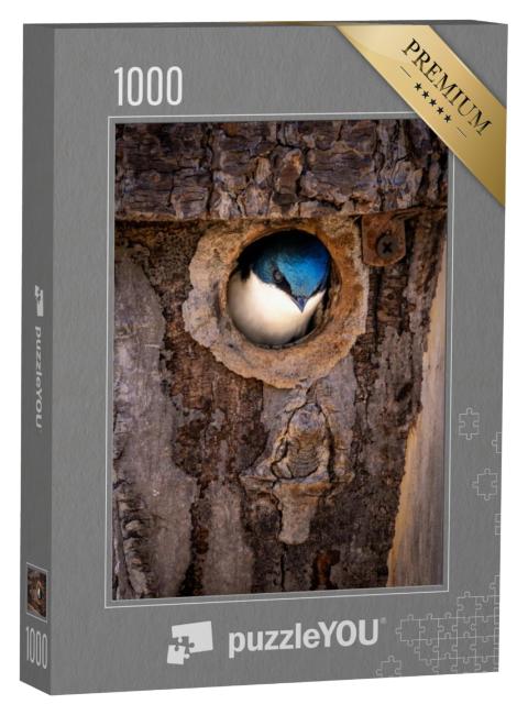 Puzzel 1000 stukjes „Een boerenzwaluw waagt zich uit zijn nest in een boomstam“