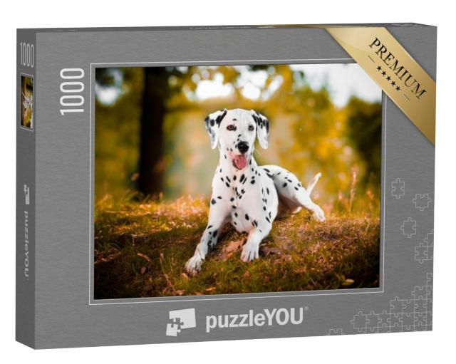 Puzzel 1000 stukjes „Dalmatiër in het gras“