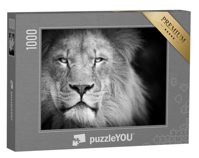 Puzzel 1000 stukjes „Portret van een leeuw“