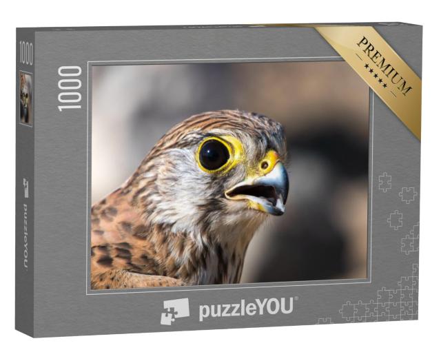 Puzzel 1000 stukjes „Portret van een torenvalk“