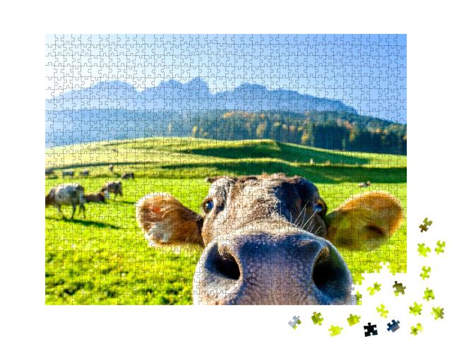 Puzzle 1000 Teile „Neugierige Kuh“